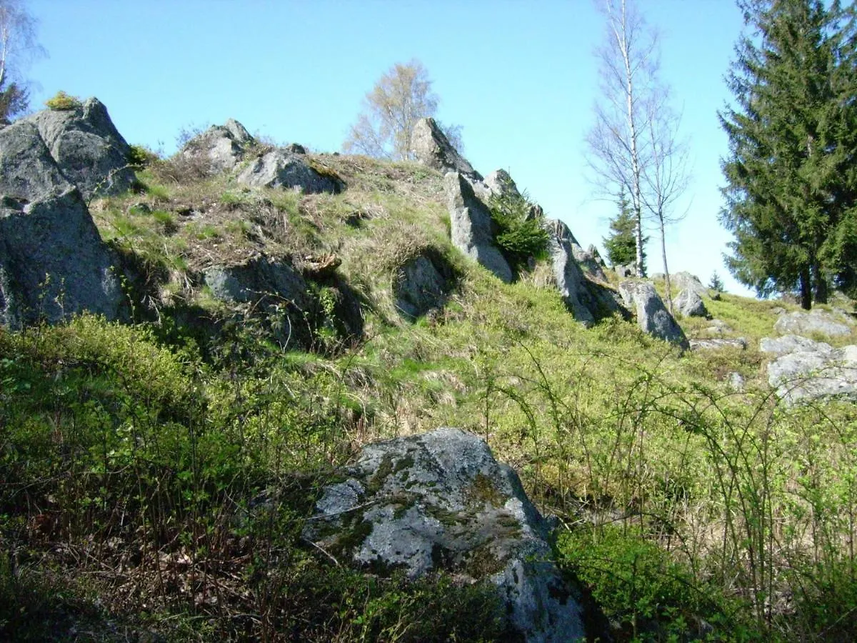 Holiday Home Near The Ski Slope Stadlern