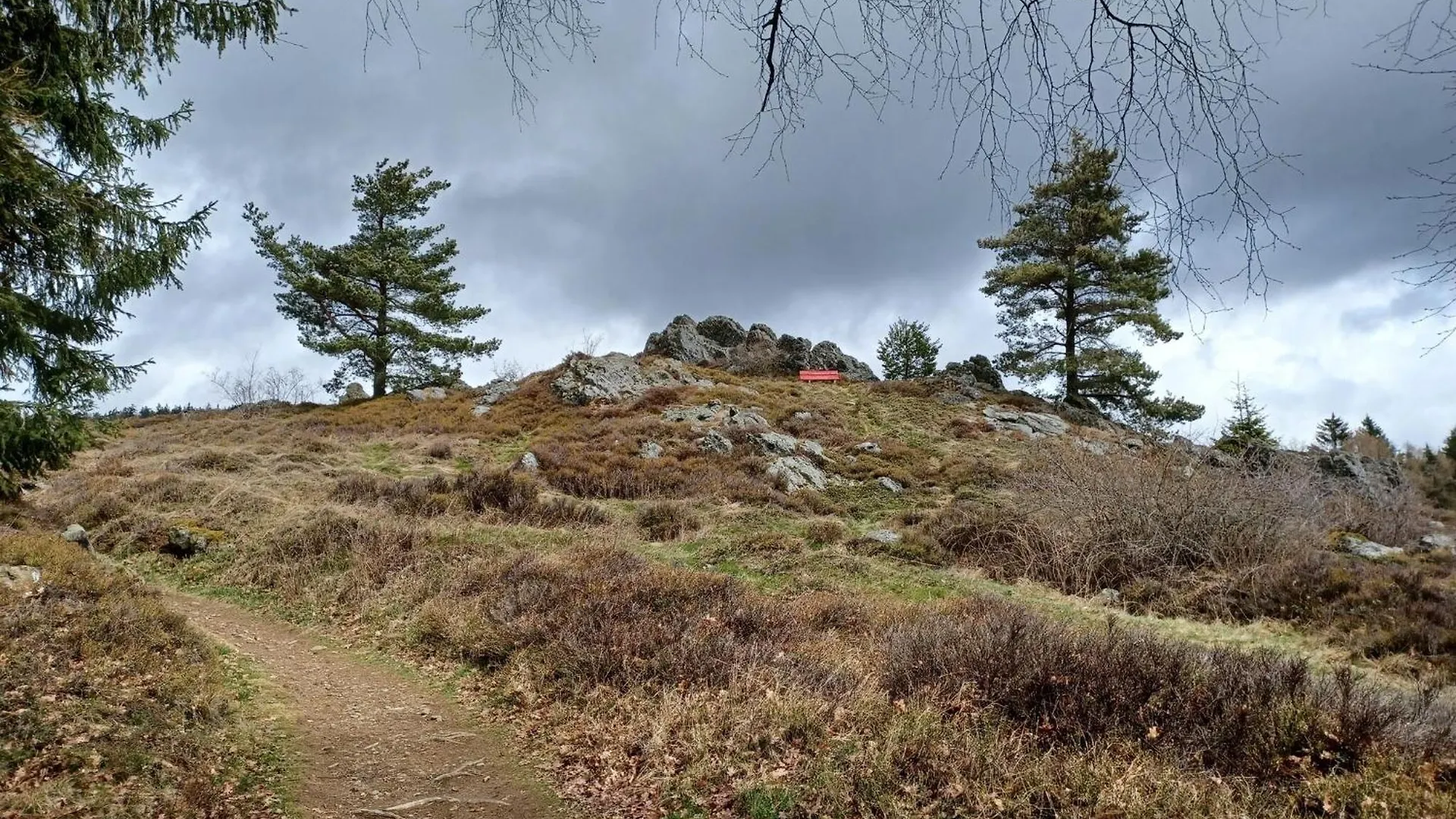 Holiday Home Near The Ski Slope Stadlern Tyskland