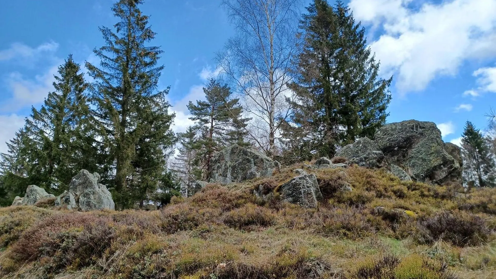 Holiday Home Near The Ski Slope Stadlern