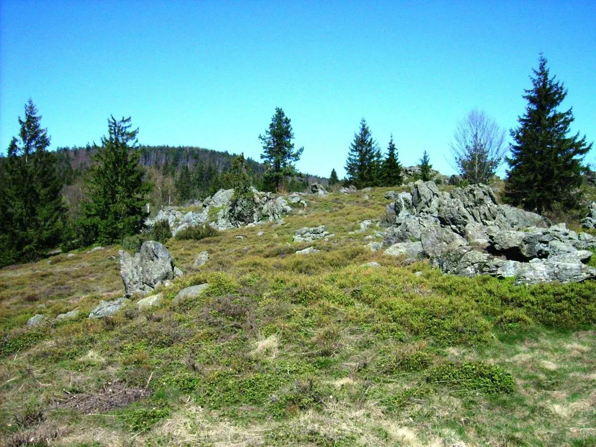 Holiday Home Near The Ski Slope Stadlern 0*,  Tyskland