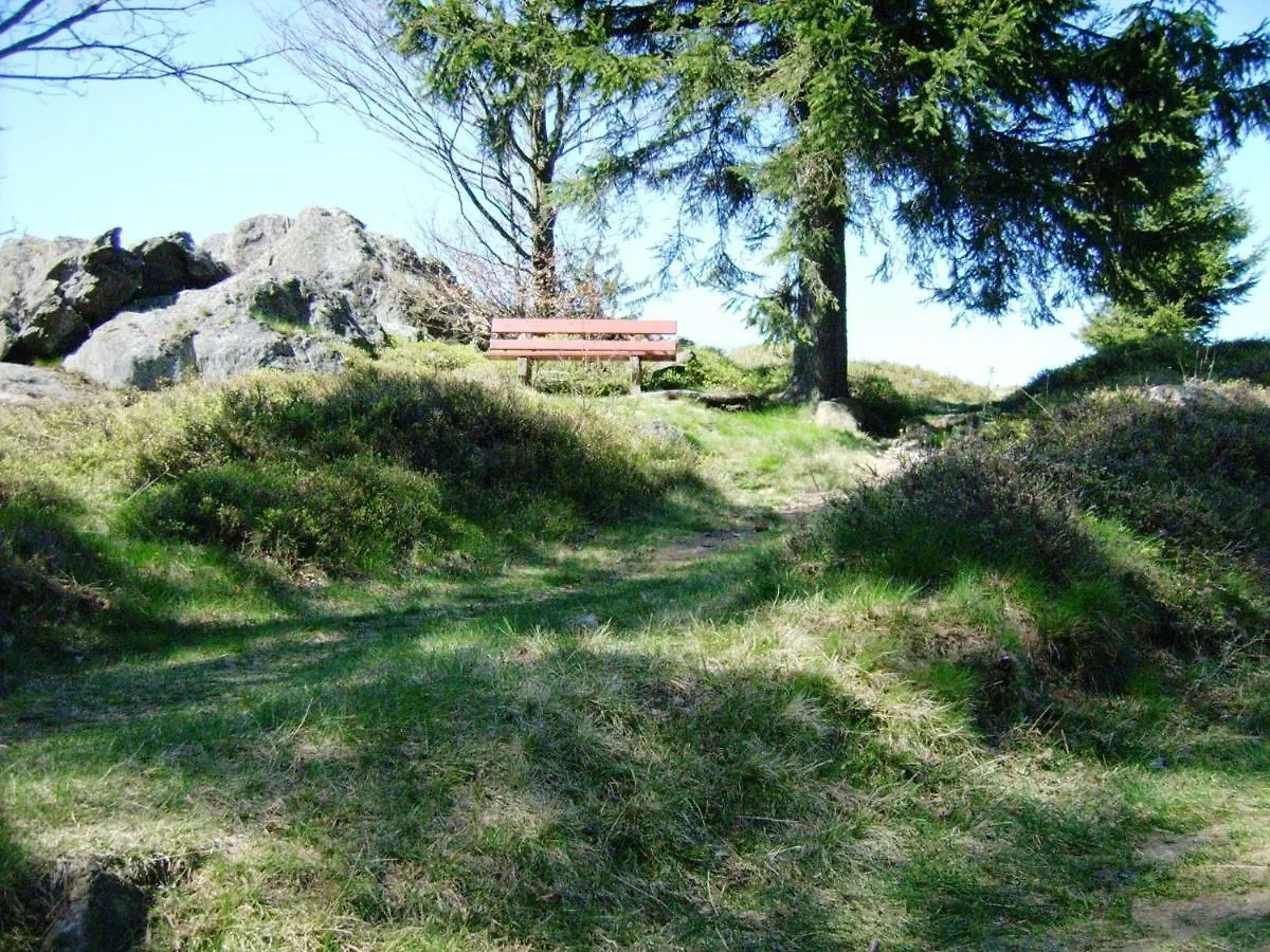Holiday Home Near The Ski Slope Stadlern